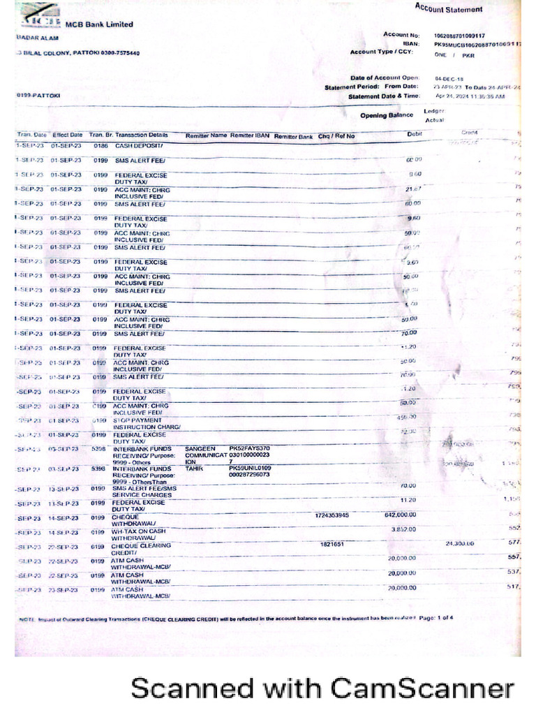 Bank Statement | PDF