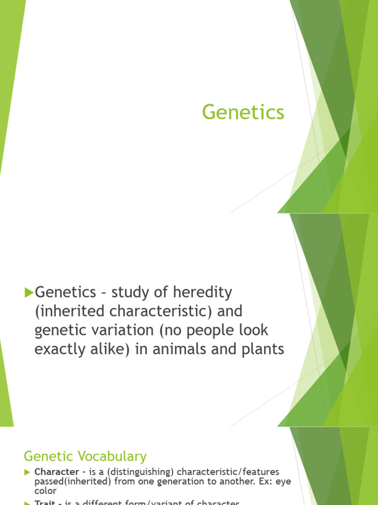 Understanding Genetics and Inheritance | PDF | Genotype | Dominance ...