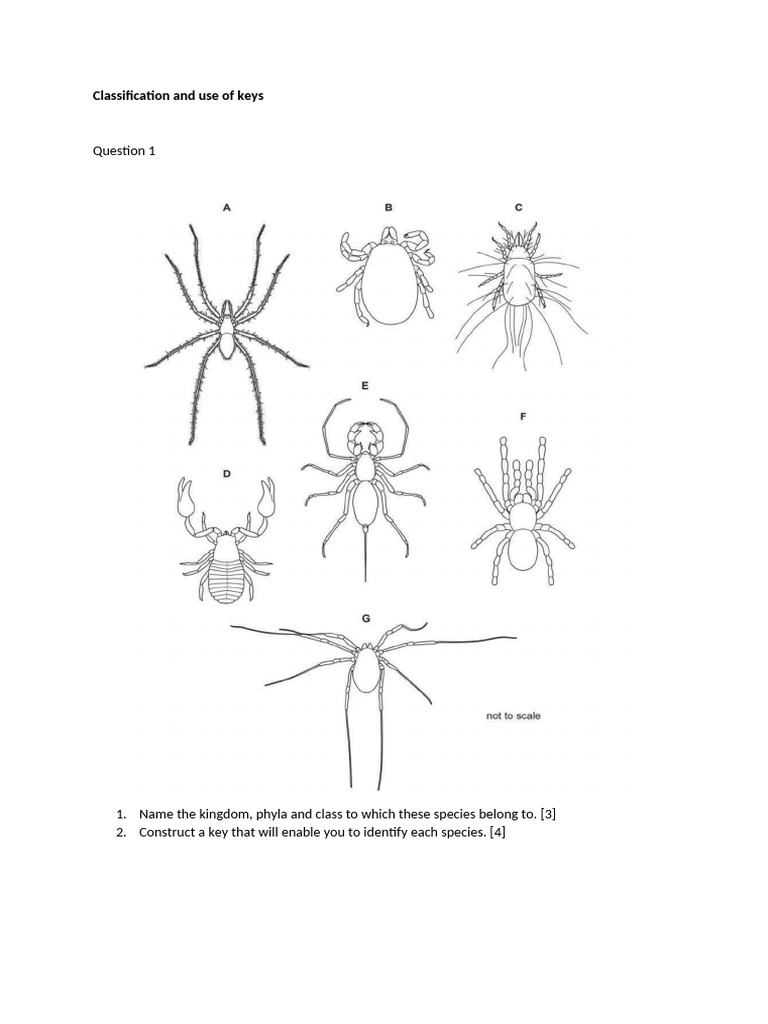 Keys for Identifying Species in Biology | PDF
