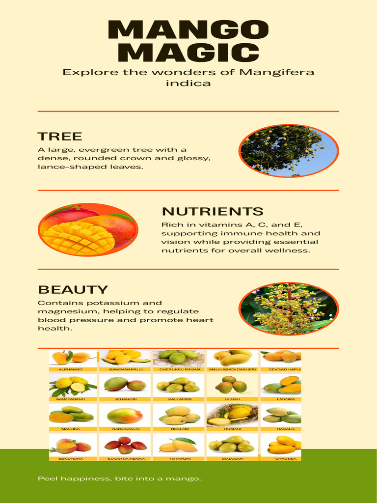 Mango Infographic: Health Benefits | PDF