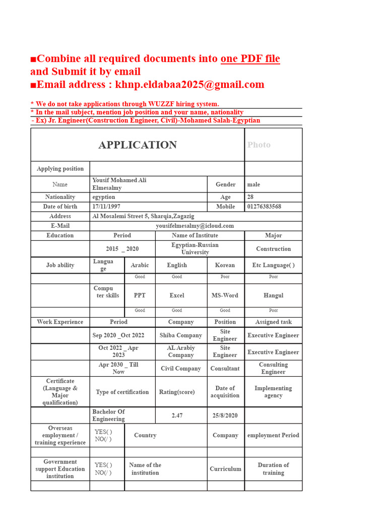 KHNP Job Application Guidelines | PDF