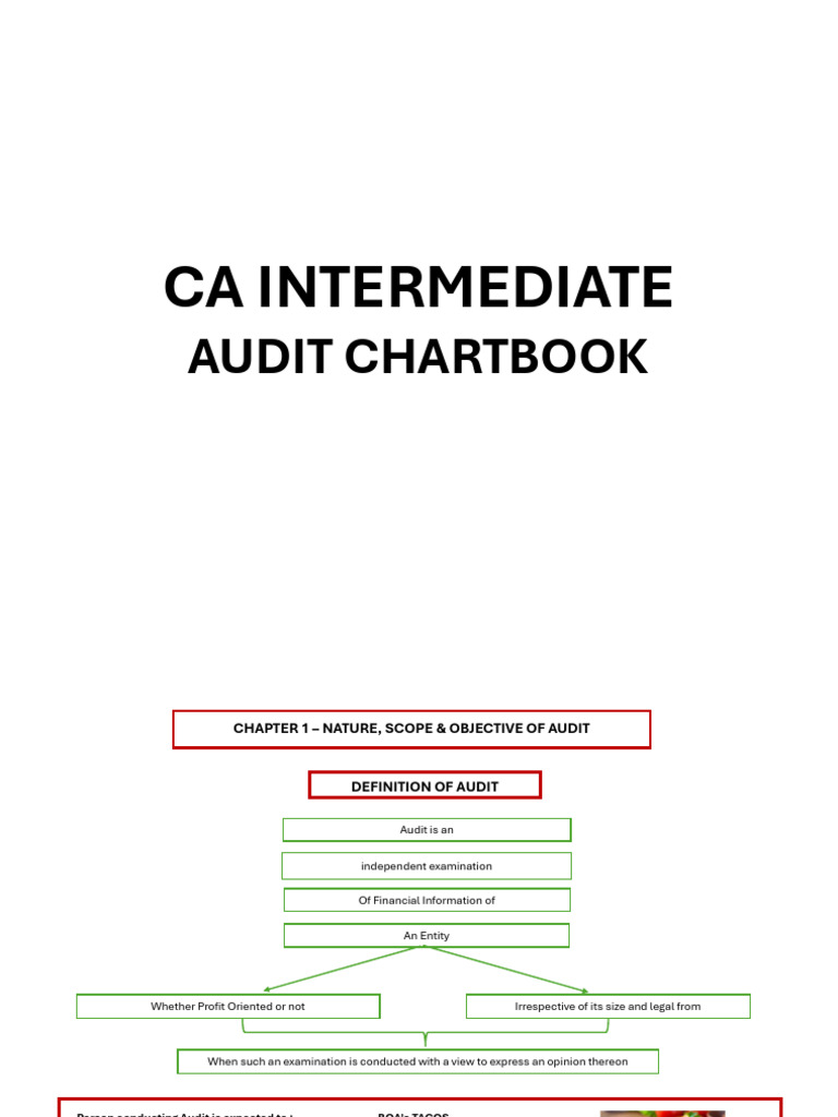 CA Inter Audit Overview Chartbook | PDF