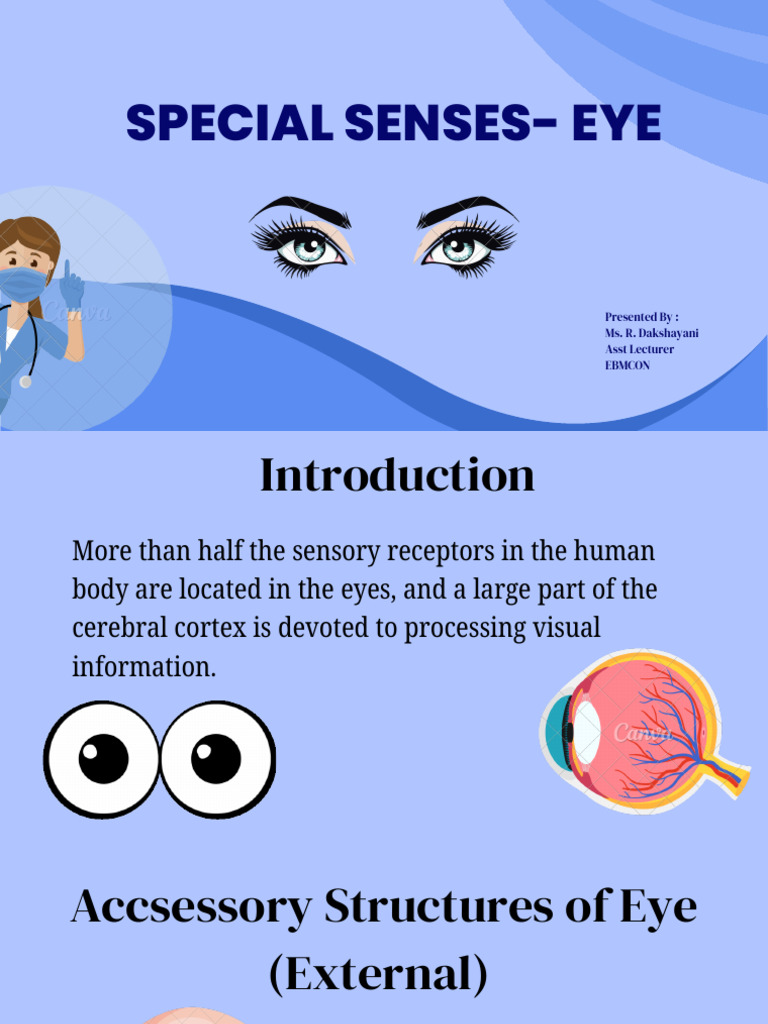 Anatomy and Physiology of the Eye | PDF | Human Eye | Retina