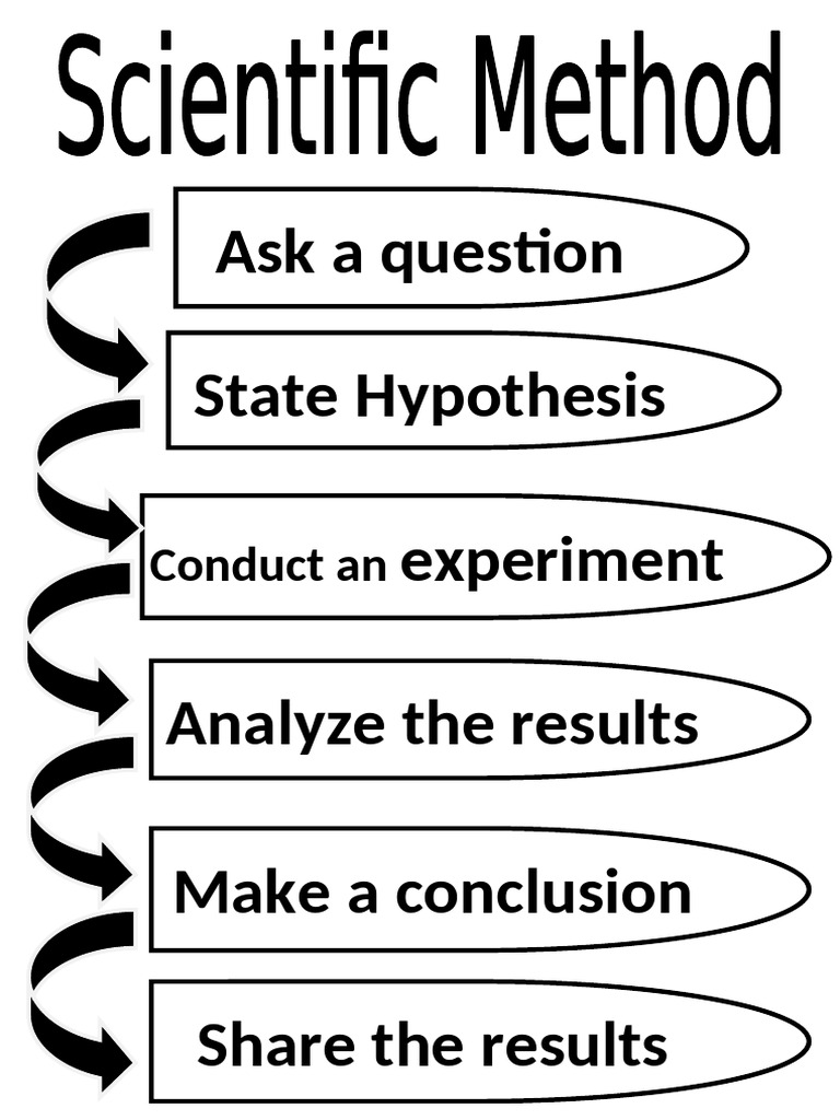 Scientific Method Overview Guide | PDF