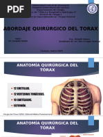 Decorticación Pulmonar: Procedimiento Quirúrgico | PDF | Tórax | Pulmón