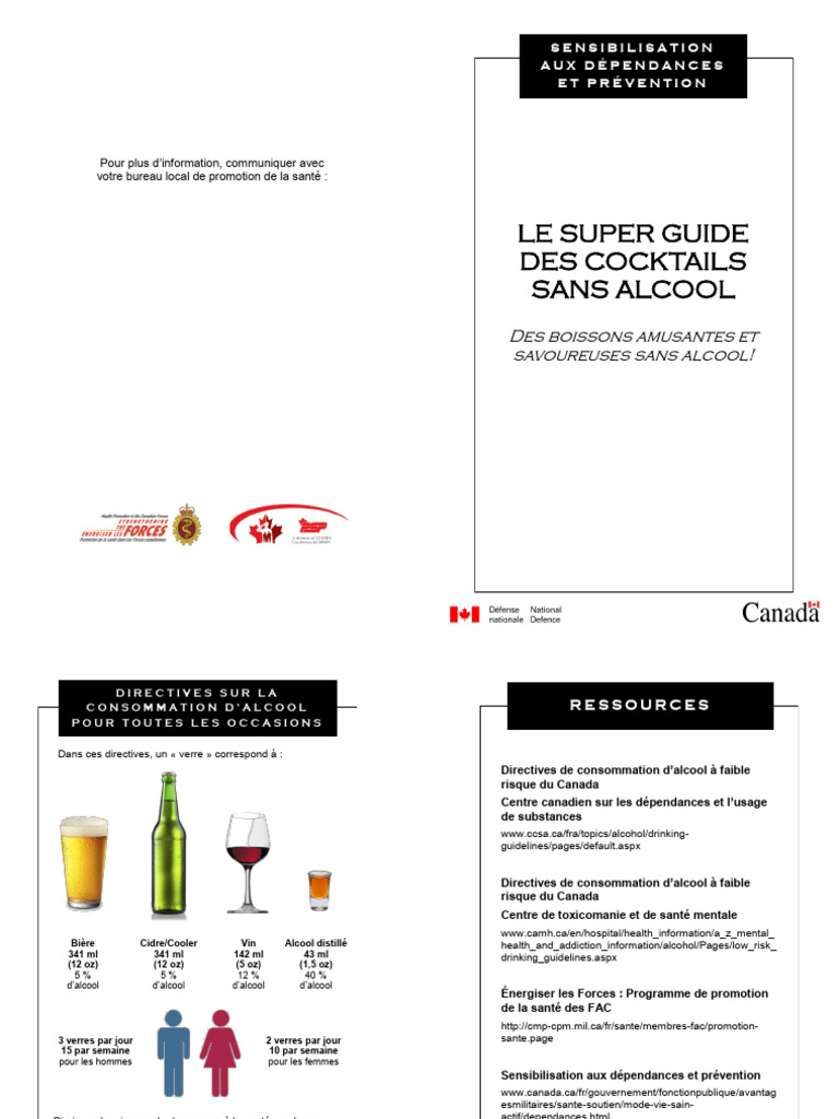 Guide Cocktails San | PDF | Boissons alcoolisées | Jus