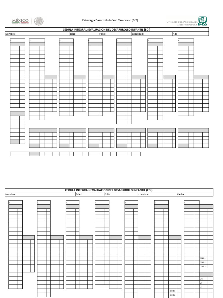 Formato de Prueba EDI para Imprimir | PDF