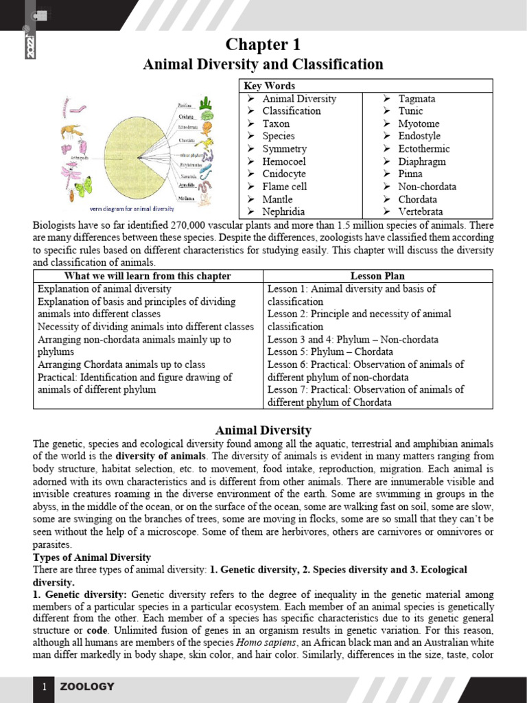 Animal Diversity and Classification Overview | PDF | Biodiversity | Sponge
