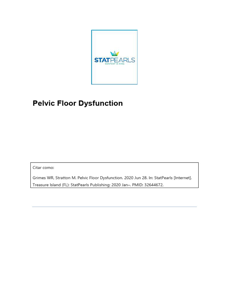 Understanding Pelvic Floor Dysfunction | PDF | Urinary Incontinence ...