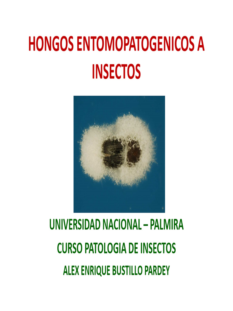 Hongos entomopatógenos y hemocelo | PDF | Hongo | Insectos