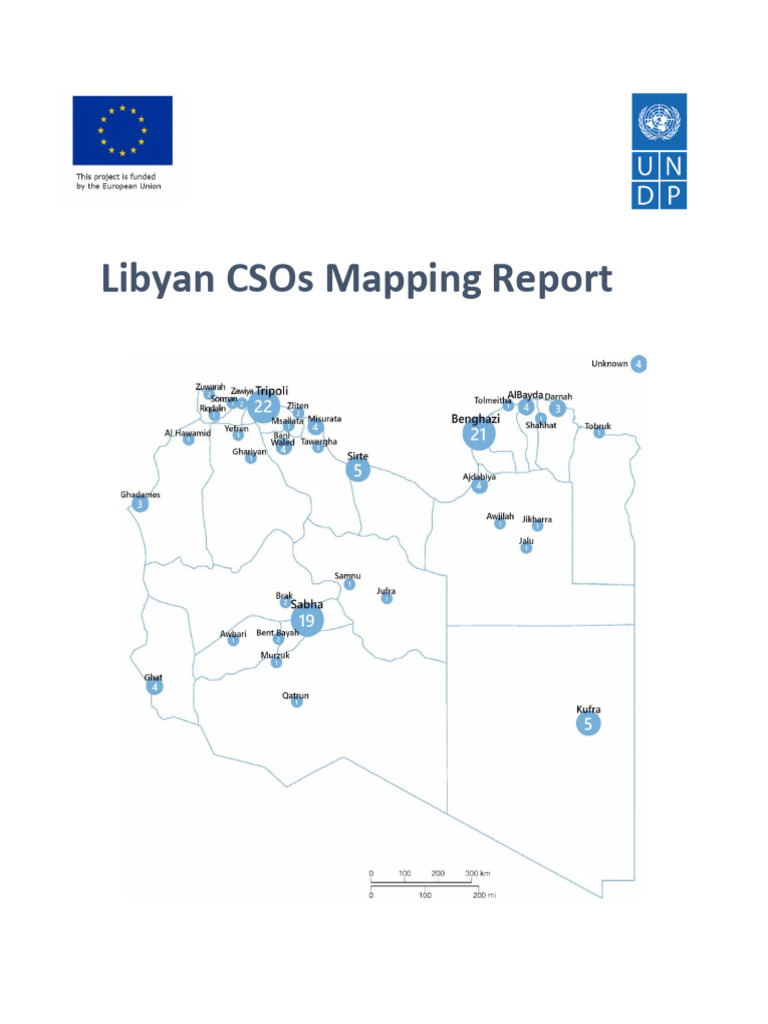 Libyan Civil Society Organizations Report | PDF | Libya | Non ...