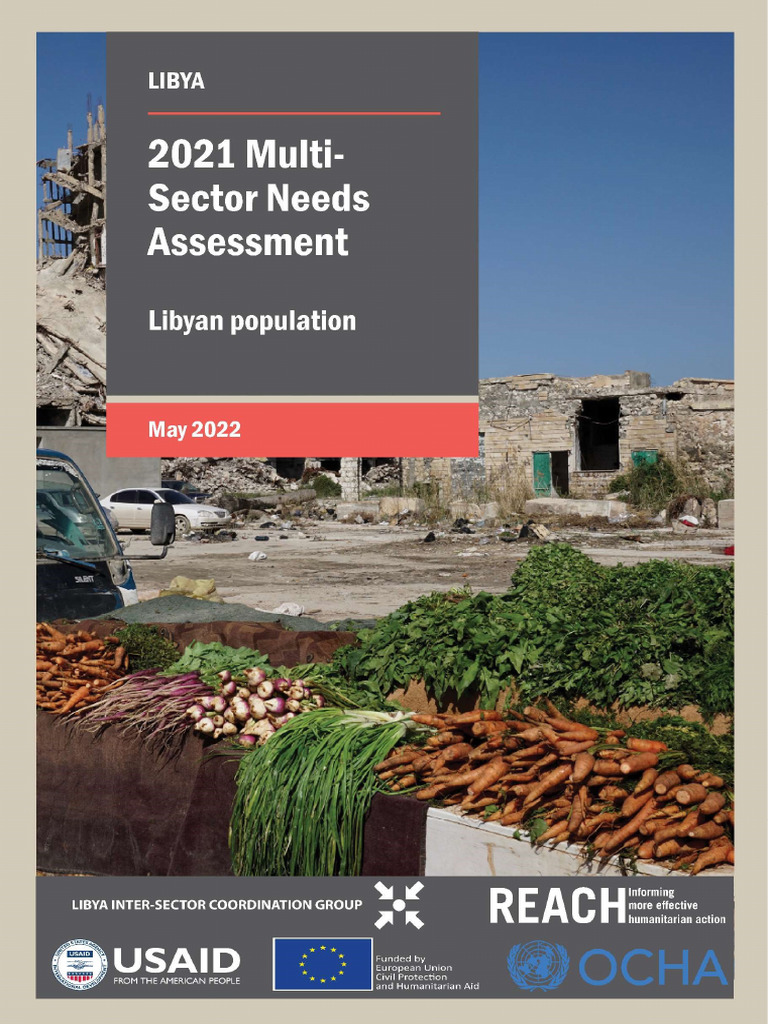 Libyan Needs Assessment 2021 Report | PDF | Libya | Internally ...