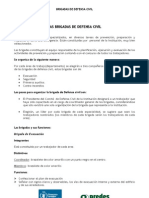 BRIGADISTAS DE DEFENSA CIVIL.pdf