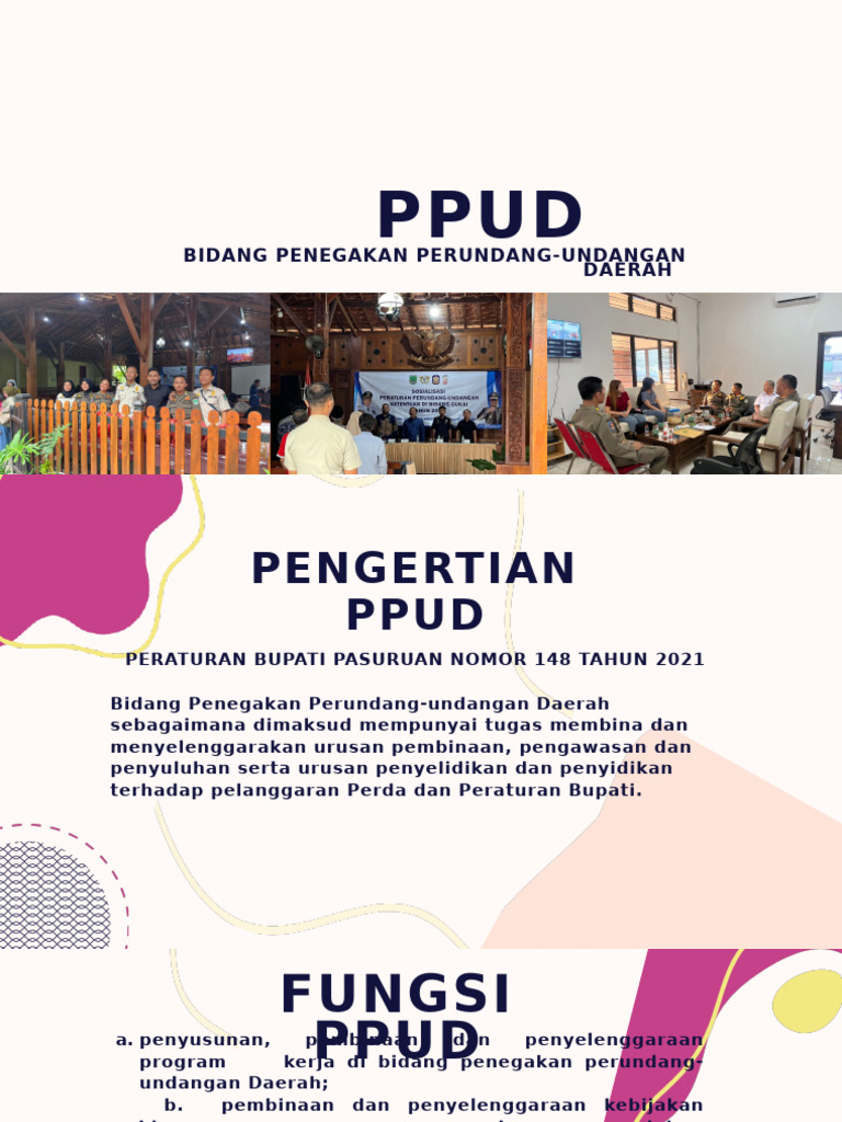 Tugas dan Fungsi PPUD Pasuruan | PDF