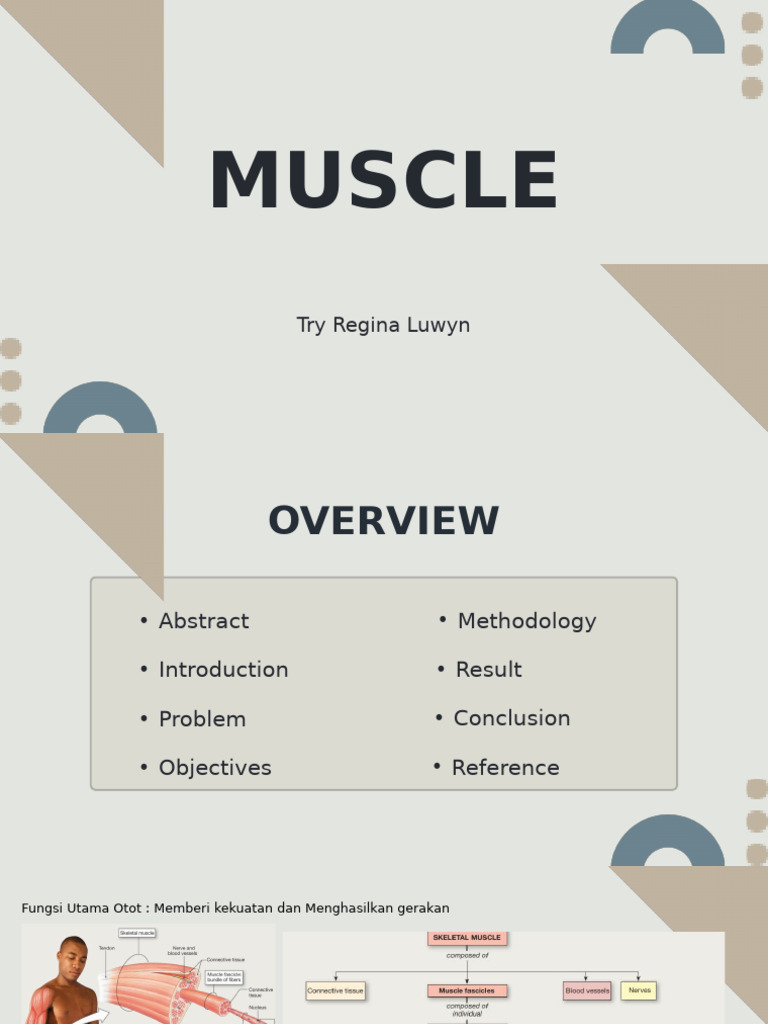 Muscle of Human Body For Physical Therapy Student | PDF