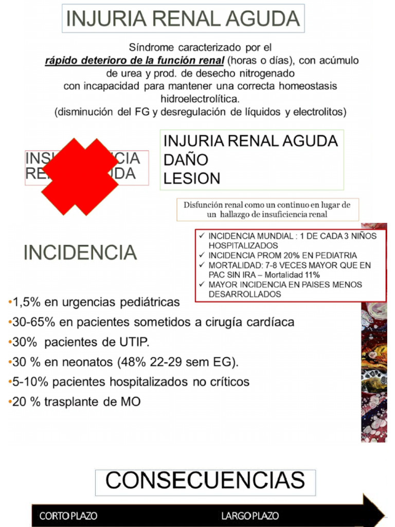 Injuria Renal | PDF