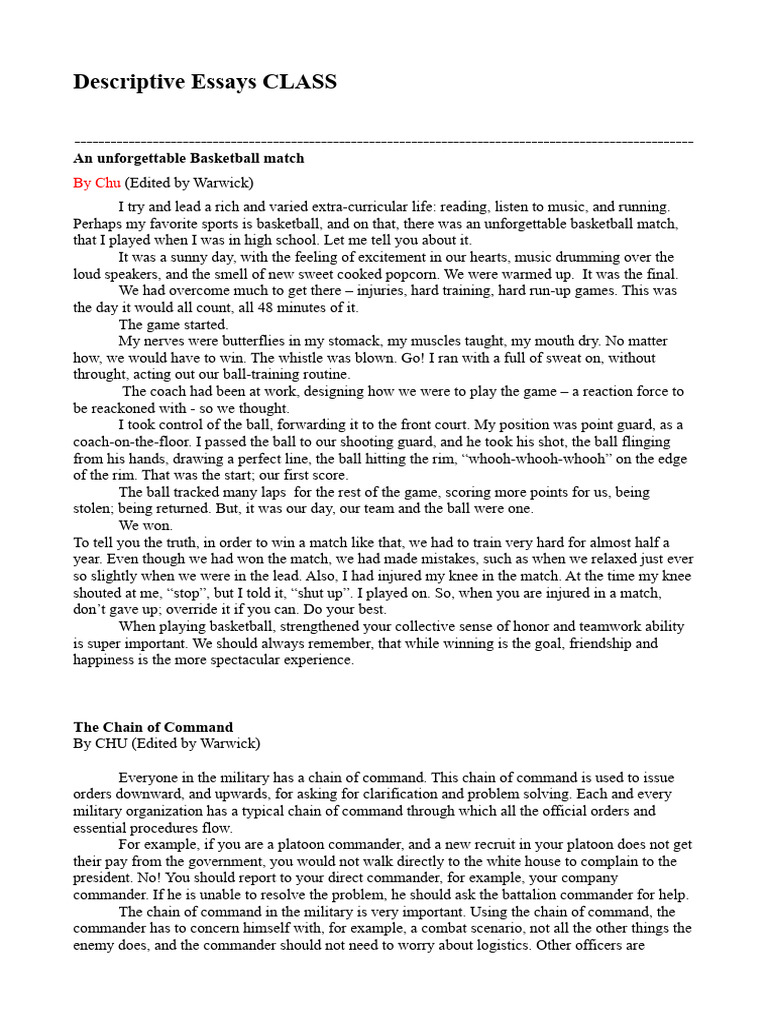 Unforgettable Basketball Match Experience | PDF