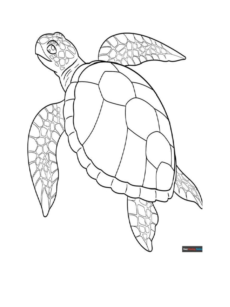Animal Colorings | PDF