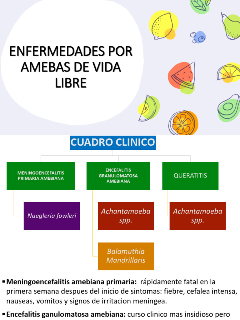 Amebas de Vida Libre | PDF | Especialidades Medicas | Medicina CLINICA
