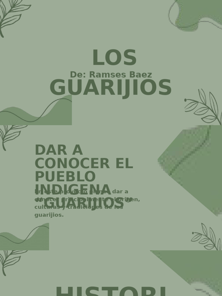 Cultura y Tradiciones de los Guarijíos | PDF | México | Sonora