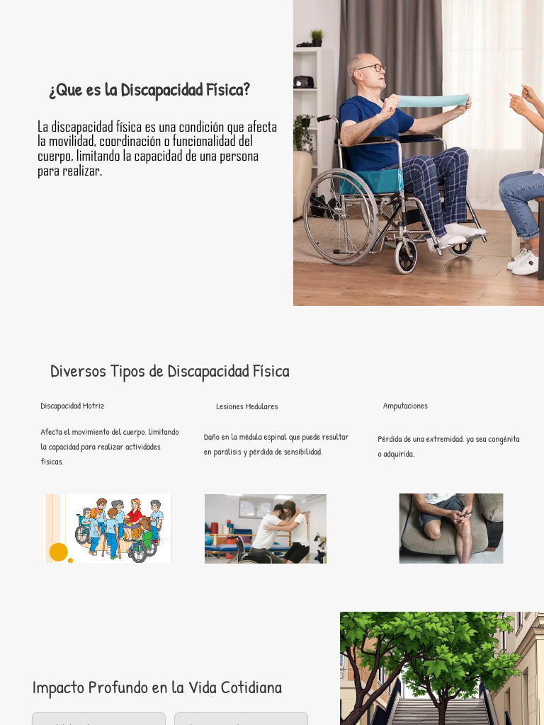 Discapacidad Física: Tipos y Soluciones | PDF | Invalidez