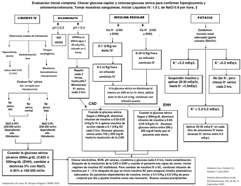 Protocolo De Tratamiento De Cetoacidosis Diab tica L quidos IV 