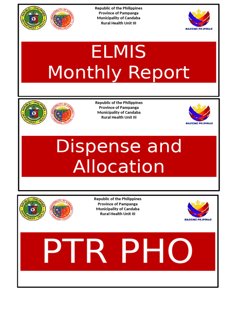 Candaba Rural Health Unit Monthly Report | PDF