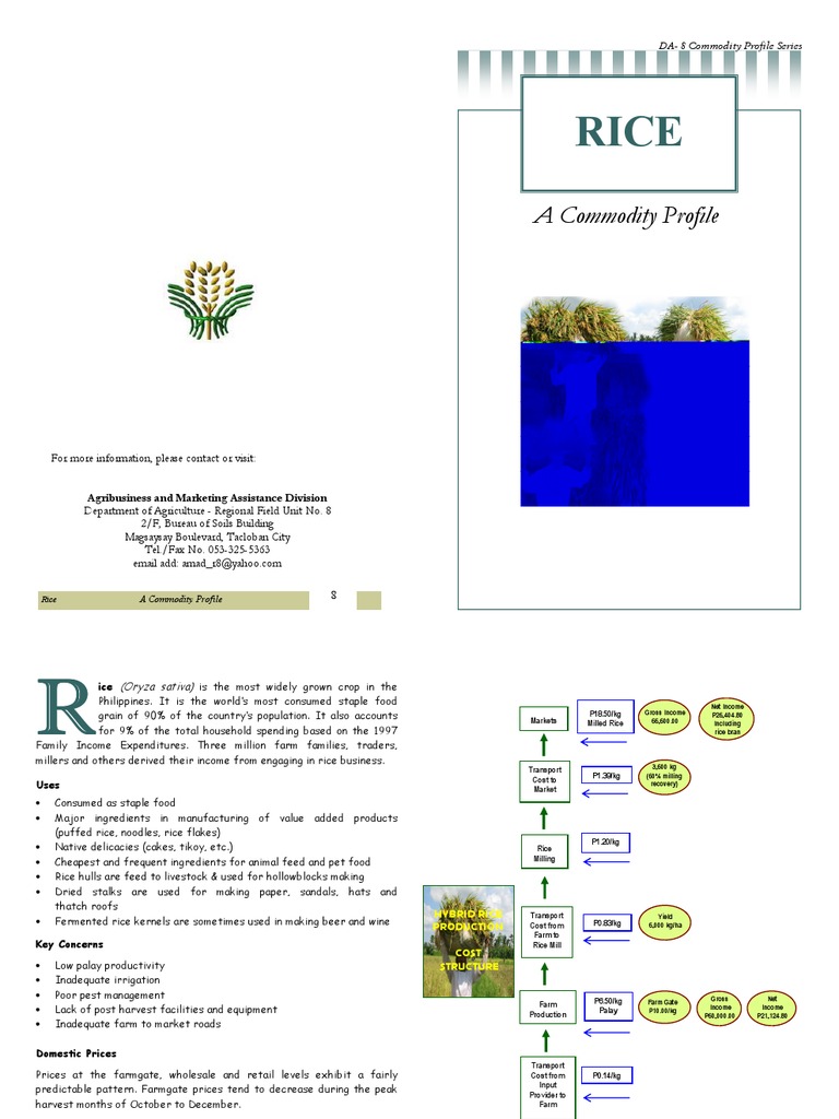 RFU 8 Rice Investment Profile Rice Agriculture