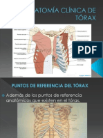 Anatomía Clínica de Tórax