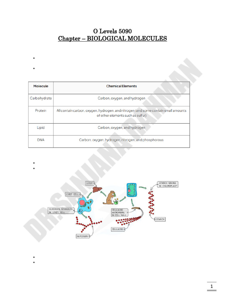 O Levels Biology: Biological Molecules Guide | PDF | Dna | Carbohydrates