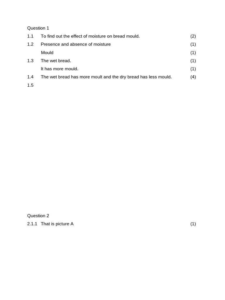 CZ Xulu Practical Test Grade 8 | PDF