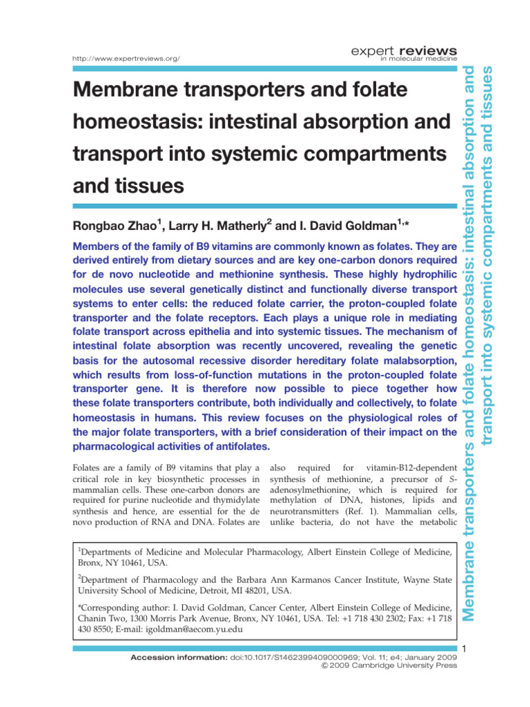 Membrane Transporters and Folate | PDF | Biosynthesis | Adenosine ...