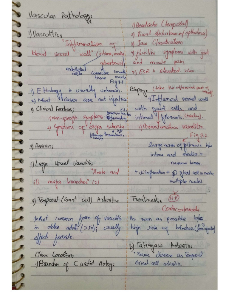 Pathoma Lectures Notes, Chapter Vascular Pathology | PDF