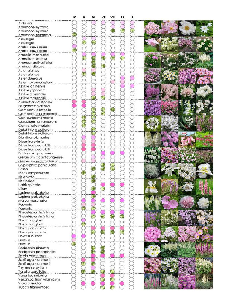 Flower Arrangement by Color - Flower Color Classification | PDF
