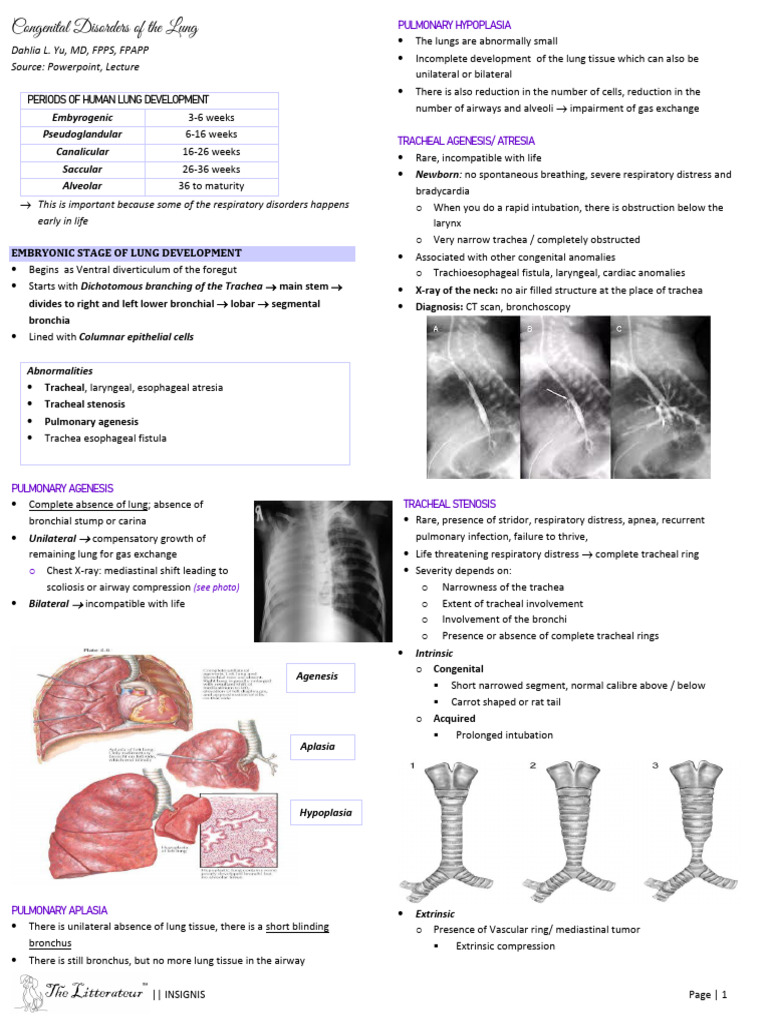 Pediatrics - Respiratory Disorders | PDF | Lung | Respiratory Tract