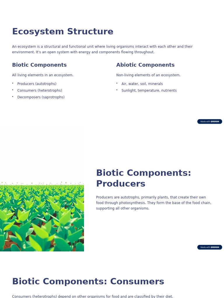 Ecosystem Structure and Functions Explained | PDF