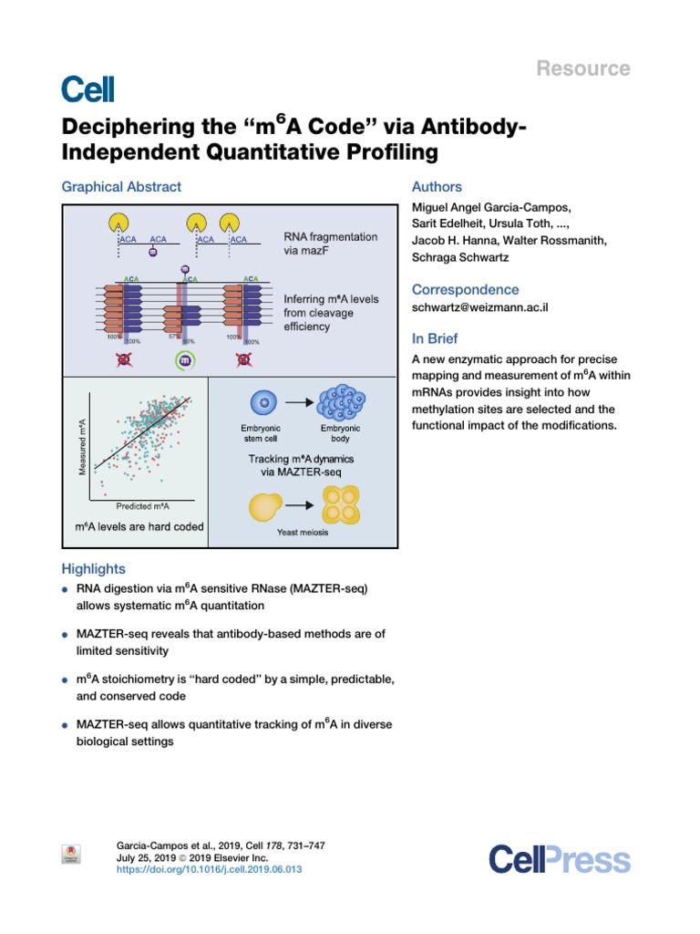 Deciphering The M6a Code'' Via Antibody | PDF | Complementary Dna | Dna ...