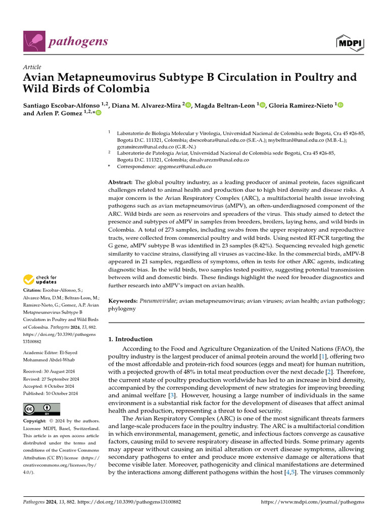 aMPV Subtype B in Colombian Poultry | PDF | Avian Influenza ...