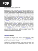 Download fasisme italia by Anita Cubibi SN90105123 doc pdf