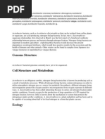 Download Acetobacter calcoaceticus by HemasMaselvaPutri SN90106735 doc pdf