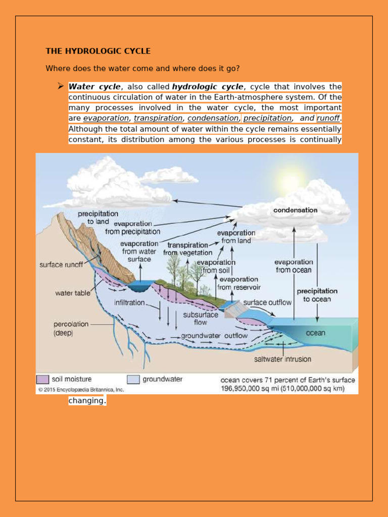 Understanding the Hydrologic Cycle | PDF