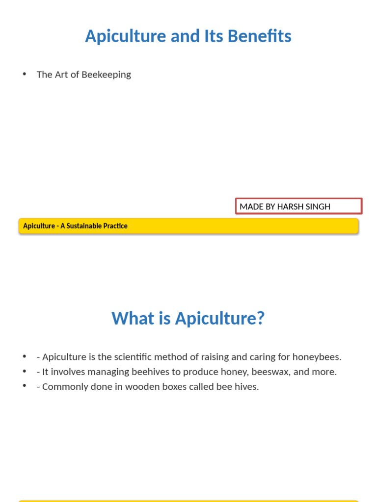 Apiculture Presentation Designed | PDF