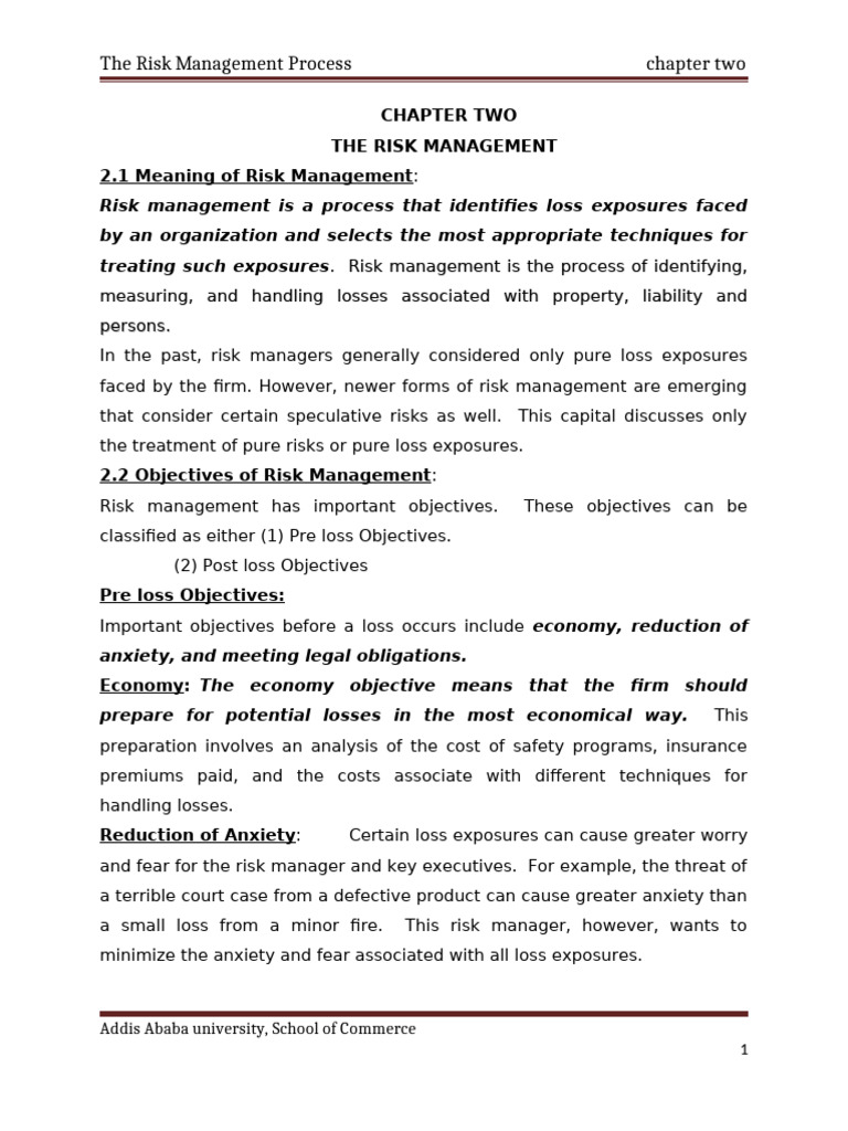 Risk Management Process Overview | PDF | Insurance | Risk Management
