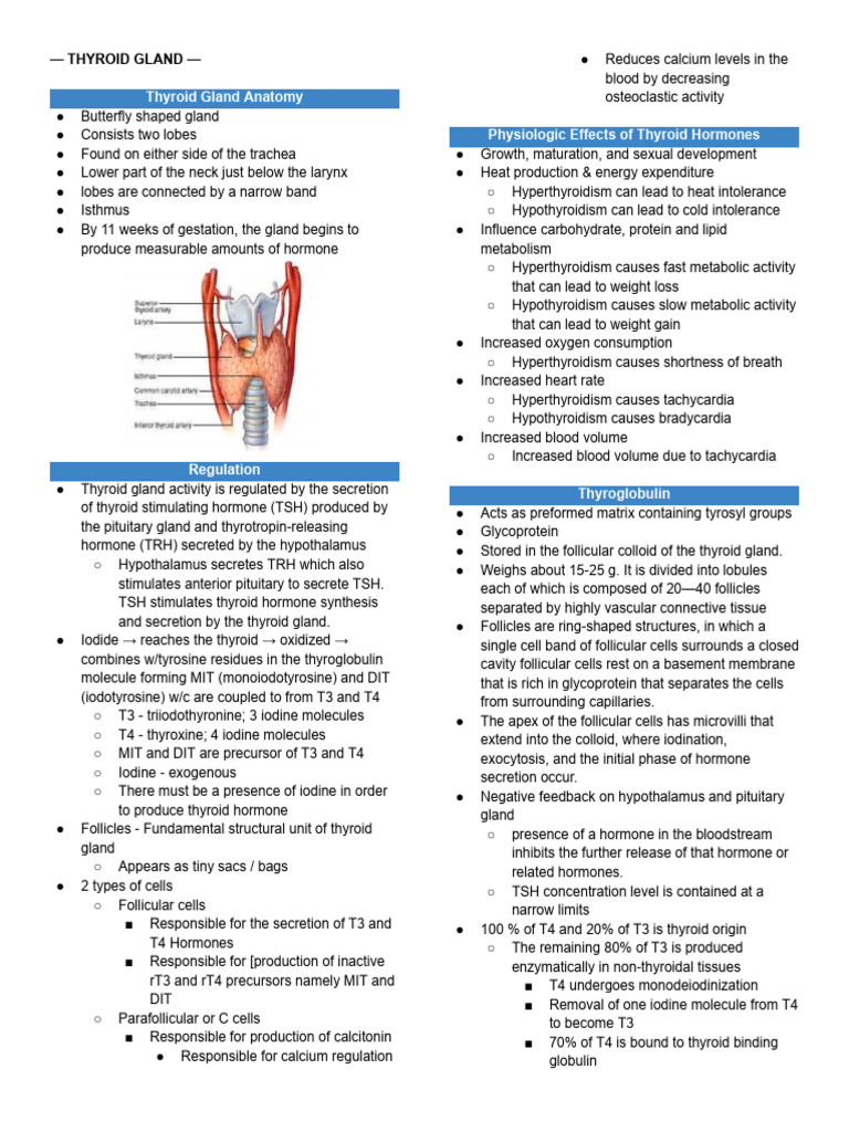 Thyroid Gland Function and Disorders | PDF | Thyroid | Hypothyroidism