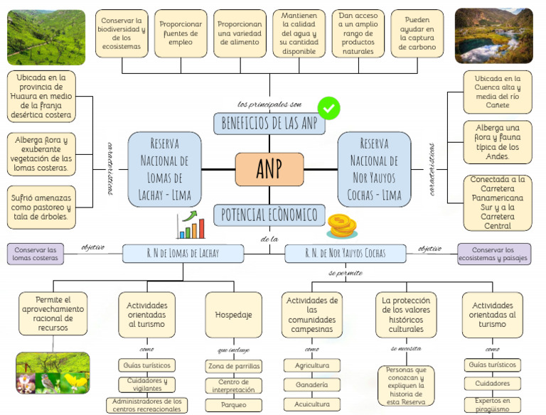 Organizador de Áreas Naturales Protegidas | PDF | Entorno natural ...