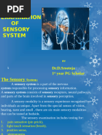 INCAT Sensory Sum Score Overview | PDF | Anatomical Terms Of Location ...