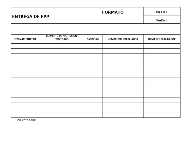 Formato de Entrega de EPP en Excel | PDF