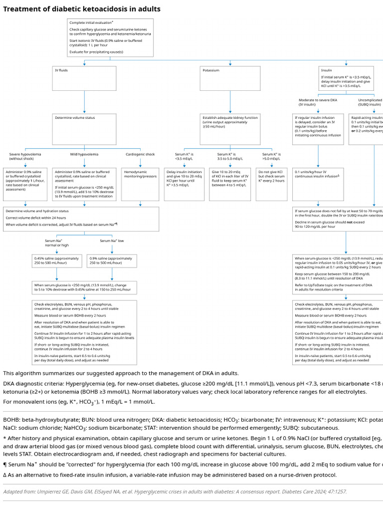 DKA Management Algorithm for Adults | PDF