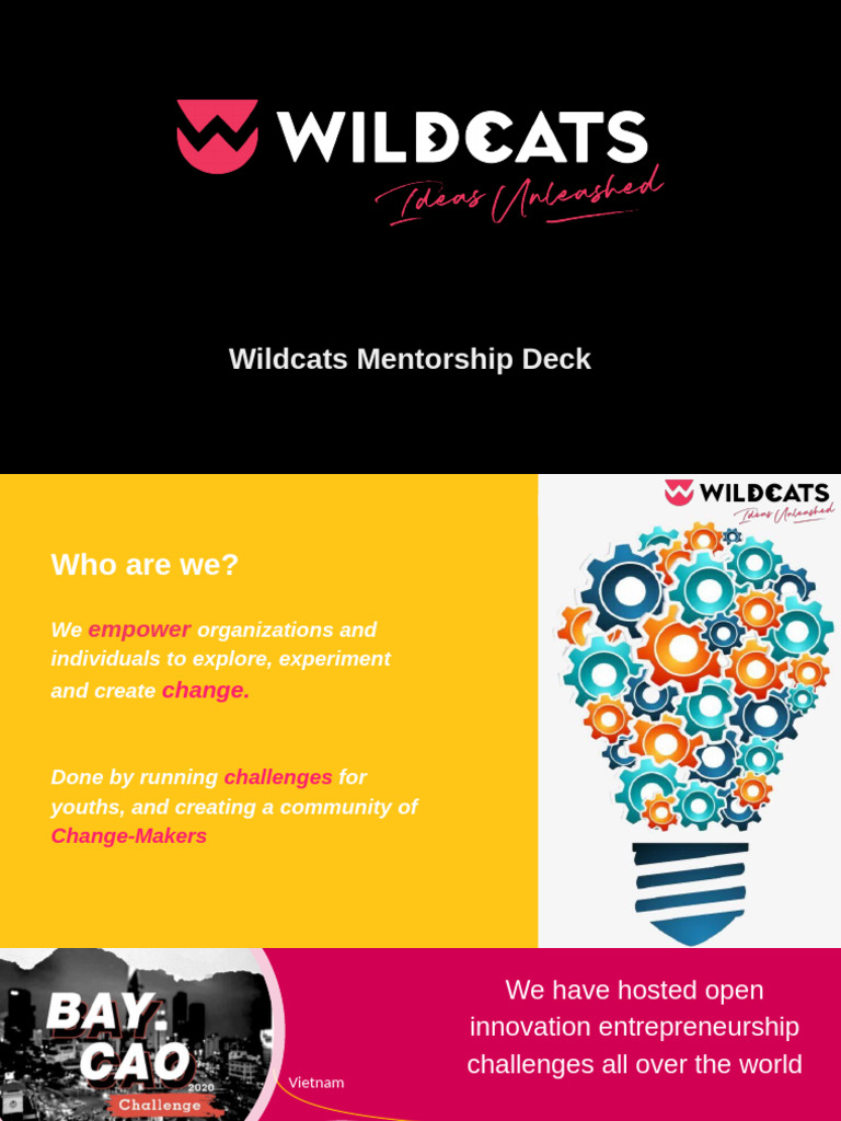 Wildcats Youth Entrepreneurship Challenge | PDF | Mentorship | Startup ...