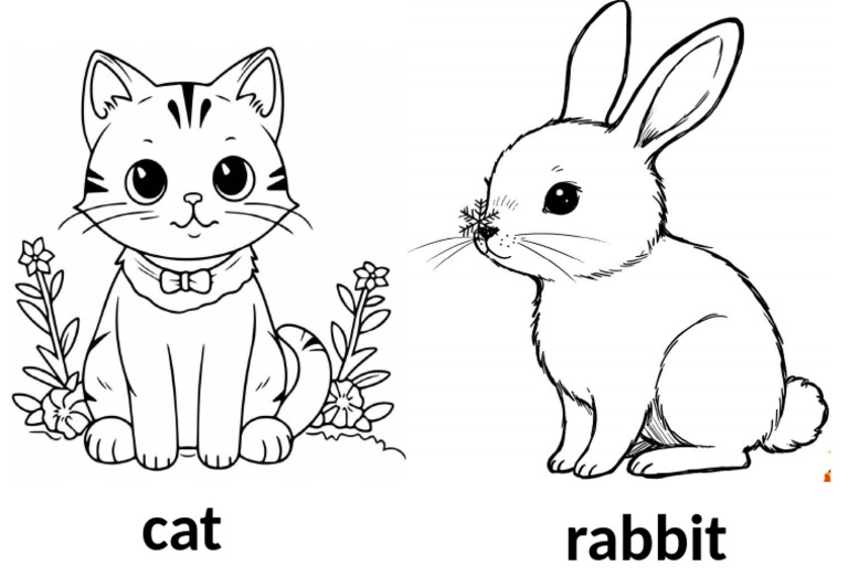 Cat, Rabbit | PDF